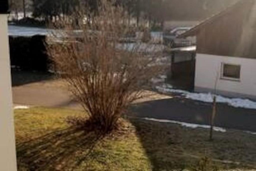 Ferienwohnung Zur Dicken Berta Wolfegg Exteriér fotografie